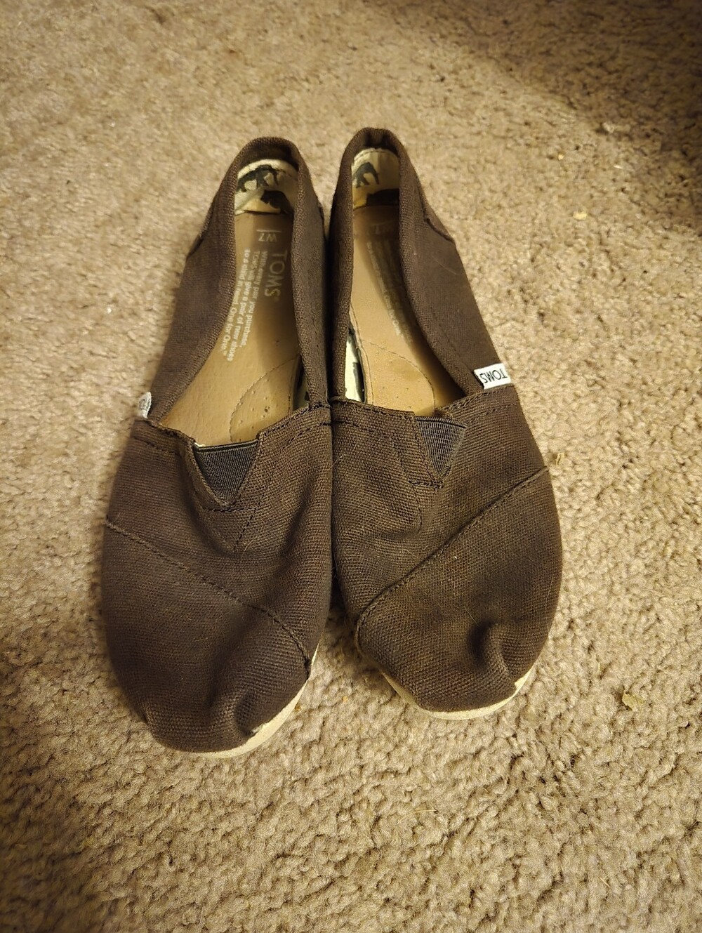 Brown Toms Shoes